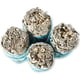 thumbnail image 2 of Atados de Salvia Blanca Blue River Sage, 2 of 3