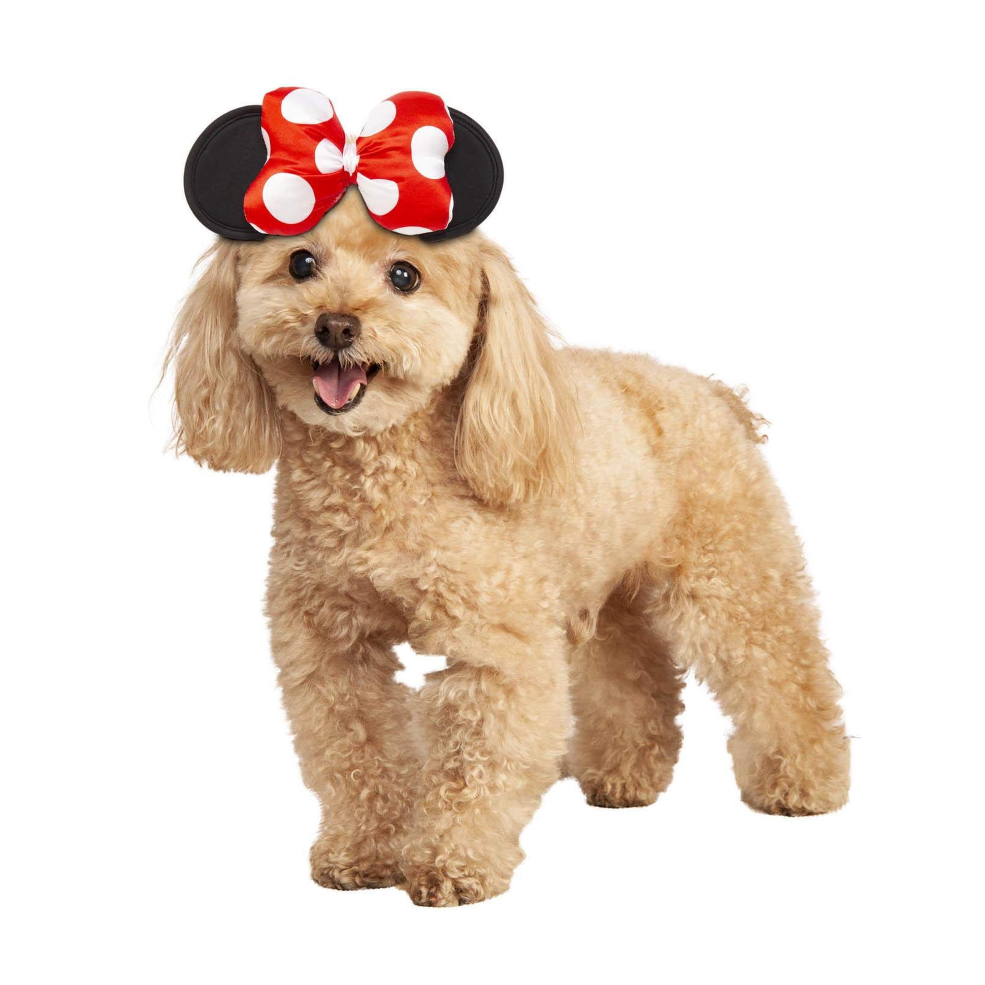 Rubies - Disfraz De Mascota Con Rubíes Y Minnie Mouse De Disney Para Perros O Gatos