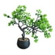 thumbnail image 2 of Árbol De Bonsái Artificial, Plantas Falsas De Interior, árbol De Bonsái Para Mesa De Escritorio, Dormitorio, 2 of 3