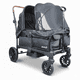 thumbnail image 1 of Coche y Carro de Paseo Doble Wagon Drakar Negro, 1 of 9