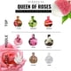 thumbnail image 2 of Aceite Perfumado Scentual Fragrances Queen of Roses 10 ml, 2 of 3