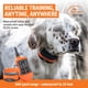 thumbnail image 2 of Remote Trainer SportDog SportTrainer 500 m impermeable naranja, 2 of 8