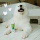 thumbnail image 5 of Champú para Perros earthbath Té Verde y Awapuhi Control de Caída 472 ml Paquete de 2, 5 of 6