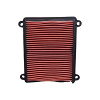 Genérico - Filtro Aire Moto Zontes Zt310V/V1/Vx Original