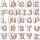 thumbnail image 1 of Cortador de Galletas Xzhloym 10 cm – Set de 26 Letras del Alfabeto, 1 of 6
