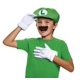 thumbnail image 2 of Kit de accesorios Disguise Nintendo Super Mario Luigi Child, 2 of 4