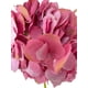 thumbnail image 2 of Hortensia Rosada 52cm Con Textura Realista, 2 of 3