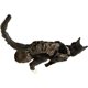 thumbnail image 1 of Pañal para gato Crazy K Farm Leopardo ajustable, 1 of 4