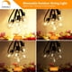 thumbnail image 3 of Luces De Cadena Para Exterior De 30 M Impermeables G40 Regulables, 3 of 9