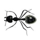 thumbnail image 1 of Novedad Solar Powered Simulación Animales Insectos Animales Modelo Hormiga, 1 of 3