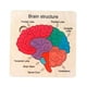 thumbnail image 3 of Rompecabezas De Madera Para El Cerebro, Rompecabezas De Estructura Cerebral Para Bebés, Niñas Y Niños De 3, 4, 5 Y 6 Años, 3 of 5