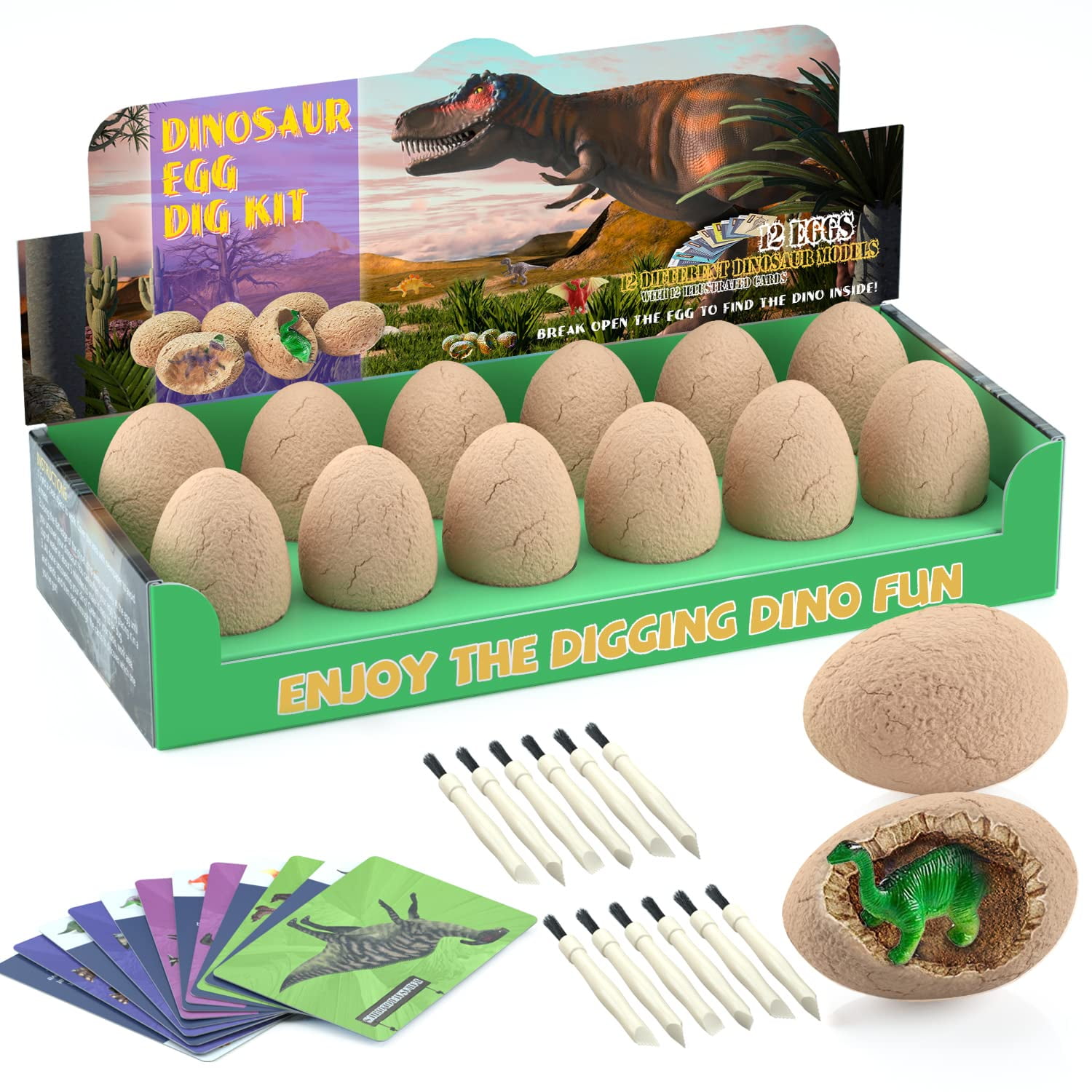Kit De Excavación De Huevos De Dinosaurio Bigear Con 12 Lindos Dinosaurios