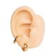 thumbnail image 1 of Pack Aros 2 Par De Argollas Lisa Piercing Chapada En Oro 18k, 1 of 5