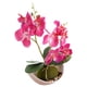 thumbnail image 1 of Bonsái lunar de orquídea phalaenopsis de tres puntas, flor artificial decorativa, planta verde en maceta, decoración del hogar, 1 of 5
