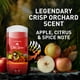 thumbnail image 2 of Desodorante sin aluminio Old Spice para hombre, protección contra los olores las 24 horas del día, f, 2 of 3