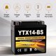 thumbnail image 3 of Batería Daakmax YTX14-BS 12V 14Ah AGM sellada, 3 of 8