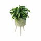 thumbnail image 2 of Macetero de Pastos Marinos (M), 2 of 8