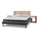 thumbnail image 2 of Cama Europea Curve New Ortopedic 2 Plazas + 2 Alm + Set Olmo 2 Pza, 2 of 10