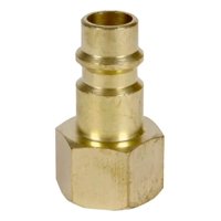 Einhell - Acople Rapido Hembra Nipple R1/4'' Ig 4139640