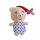 thumbnail image 1 of Sujeta Chupete Porta Chupete Peluche Apego + Chupete, 1 of 3