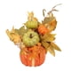 thumbnail image 3 of Flor De Calabaza Artificial, Decoración De Calabaza De Cosecha Decorativa Para Fiesta En Casa De Escritorio, 3 of 5