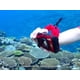 thumbnail image 5 of Cámara digital Olympus Tough TG-7 12 MP resistente al agua, 4K, roja, 5 of 8