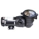 thumbnail image 1 of Bomba De Reemplazo Para Alberca Hydrotools Hydro Flo 1 0 Hp, 1 of 9