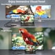 thumbnail image 3 of Estación de acoplamiento USB‑C WAVLINK 4K HDMI DP 100W 5G, 3 of 8