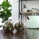 thumbnail image 5 of Terrario redondo colgante de vidrio, 5 of 5
