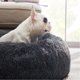 thumbnail image 4 of Cama para perros Bedsure Calming Donut, lavable para perros medianos, 4 of 6