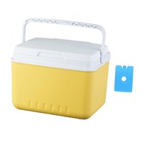 Ioensy - Cubo Rígido Con Nevera Térmica Y Asa, Organizador Para Picnic, Playa, Barbacoa, 5 L