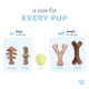 thumbnail image 4 of Juguetes masticables para perros Benebone Puppy, paquete de 4 para perros pequeños, 4 of 8