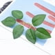 thumbnail image 3 of Hojas verdes artificiales Woohome Bulk Rose, 250 unidades, para bricolaje, 3 of 3