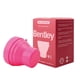 thumbnail image 2 of Vaso Esterilizador 1Un Bentley, 2 of 6