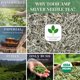 thumbnail image 3 of Tea TODICAMP Silver Needle, hojas sueltas blancas orgánicas, 85 g, 3 of 6