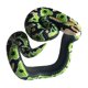 thumbnail image 3 of Novedad Pulsera De Serpiente Falsa Modelo De Animal Aterrador Pulsera Pitón Verde, 3 of 5