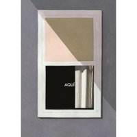 Salamandra - Libro Aqui