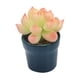 thumbnail image 3 of Simulación De Casa De Muñecas Mini Flor En Maceta Para Muebles De Decoración De Casa De Muñecas 1/12, 3 of 5