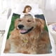 thumbnail image 5 of Golden Retriever anti-pilling, suave, ligera, esponjosa y acogedora de lujo para hogar y cocina – Perfecta para niños y adultos,120X80cm, 5 of 6