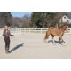 thumbnail image 3 of Correa Intrepid International Horse 7,6 m Algodón, 3 of 7