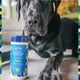 thumbnail image 4 of Refrescante de alfombras en polvo Pet Life Unlimited 480 ml, 4 of 6