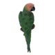thumbnail image 4 of Loro realista resina animal ornamento animal colgando 31cm mirar derecho verde, 4 of 4