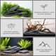 thumbnail image 4 of Piedras para Acuario FISCAPE 15‑21 cm, Juego de 6, Pizarra Natural, 4 of 7
