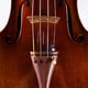 thumbnail image 3 of Cuerda para violín Thomastik-Infeld Dominant D-String escala 4/4, 3 of 4