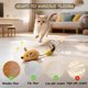 thumbnail image 5 of Juguete Interactivo Ratón para Gatos Pixibond, Rata Falsa Automática con Movimiento, Juguete Recargable Realista para Perros y Gatos con Sonido, Pluma y Cascabel, Broma para Asustar, 5 of 7
