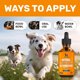 thumbnail image 5 of Antibiótico Natural para Perros ClearMax Sabor Tocino 60ml, 5 of 8