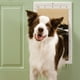 thumbnail image 2 of Puerta de perro Grande PetSafe, 2 of 4