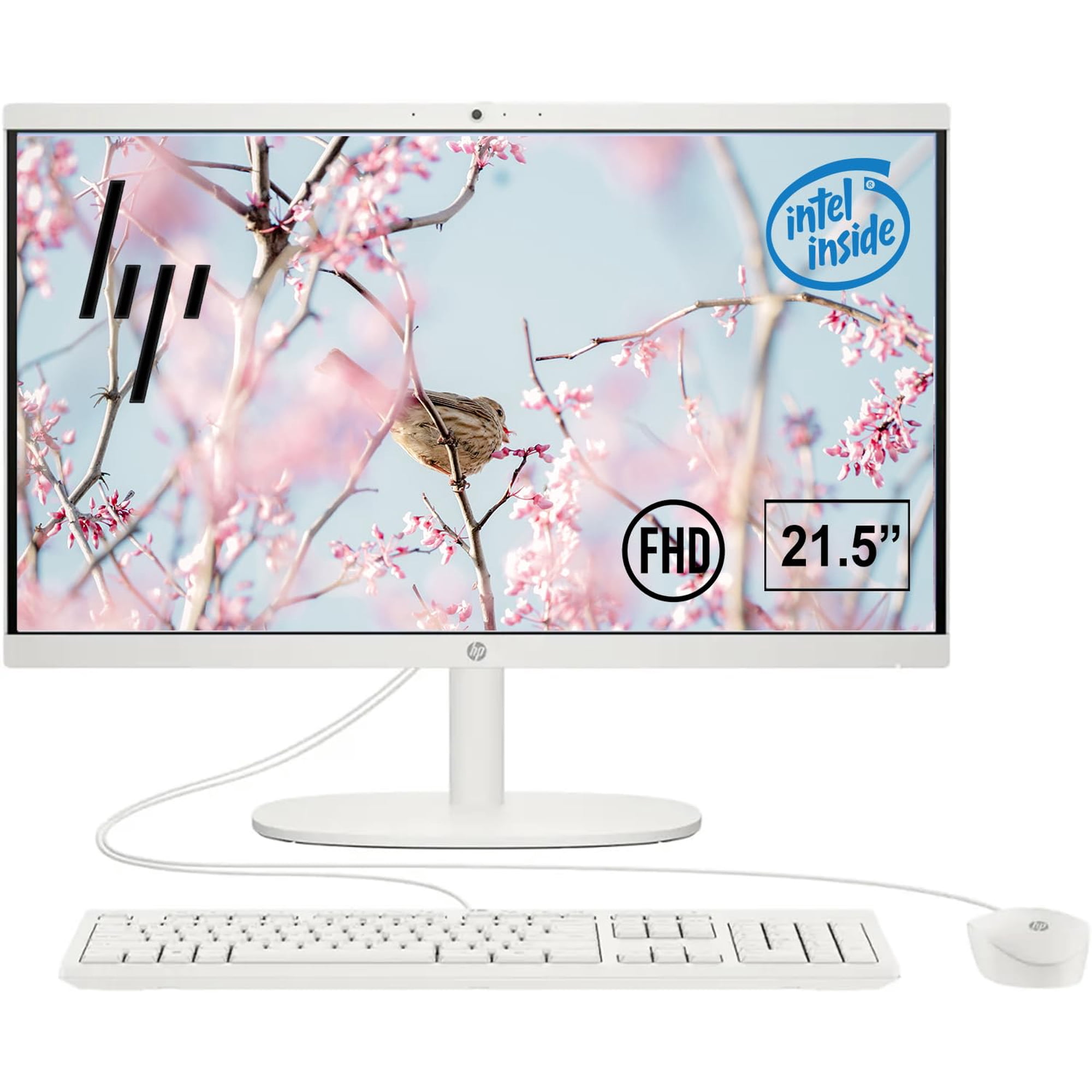 Computadora De Escritorio Hp 22 Fhd Todo En Uno 16 Gb De Ram 128 Gb Ssd Win11