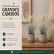 thumbnail image 3 of Set 2 Plantas Artificiales Flores Lavanda Decoracion Hogar blanco, 3 of 8