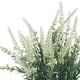 thumbnail image 3 of Lavanda Blanca En Macetero De Madera 32 Cm, 3 of 3